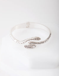 Antique Silver Snake Bangle - link has visual effect only