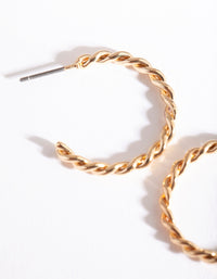 Gold Twisted Hoop Earrings - link has visual effect only