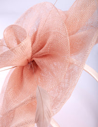 Pink Ruffle Saucer Headband - link has visual effect only