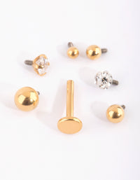 Gold Plated Titanium Flat Back 6-Pack - link has visual effect only