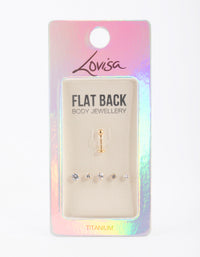 Gold Plated Titanium Flat Back 6-Pack - link has visual effect only