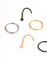 Titanium Nose Stud & Ring 6-Pack - link has visual effect only