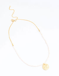 Gold Plated Mini Freshwater Pearl Molten Disc Necklace - link has visual effect only