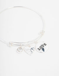 Silver Plated Disc Charm Bangle - link has visual effect only