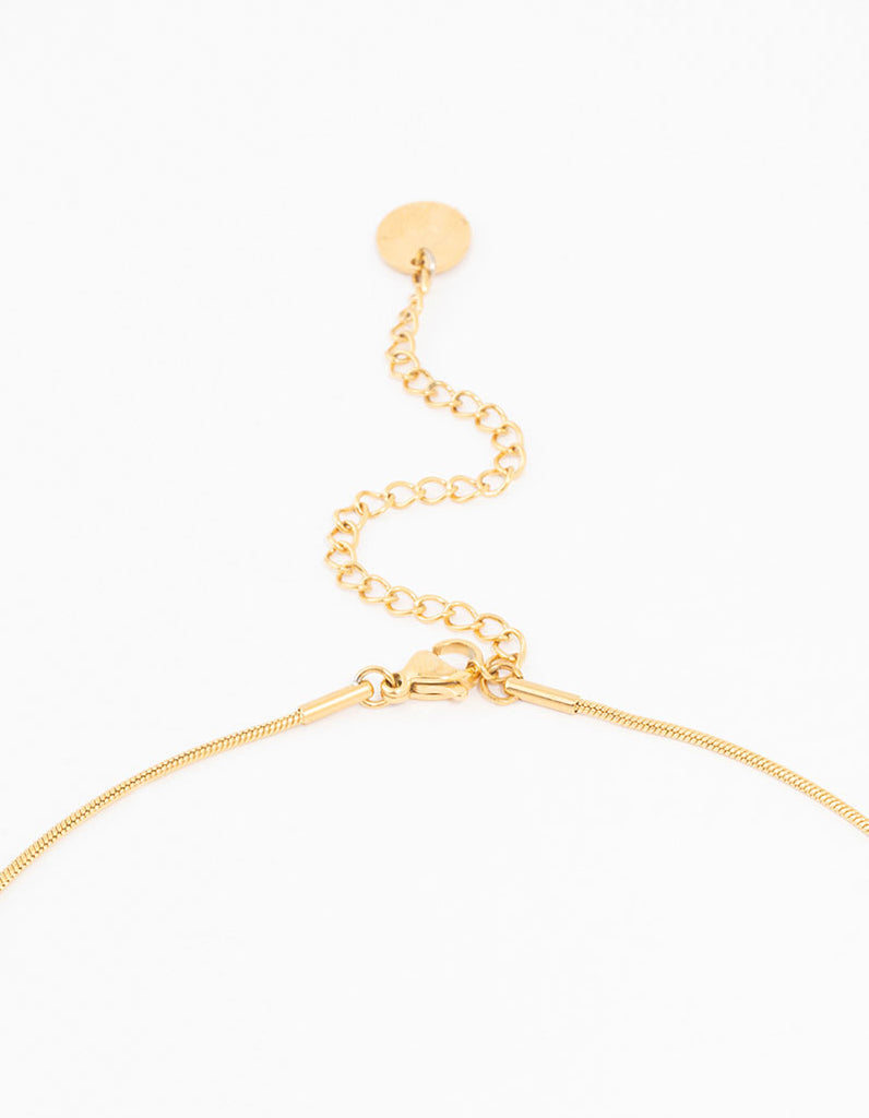 Gold Plated Surgical Steel Pull Through Lariat Necklace