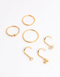 Gold Plated Titanium Ring & Hook Nose 6-Pack - link has visual effect only