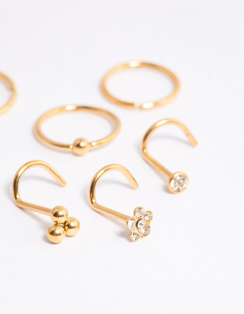 Gold Plated Titanium Ring & Hook Nose 6-Pack